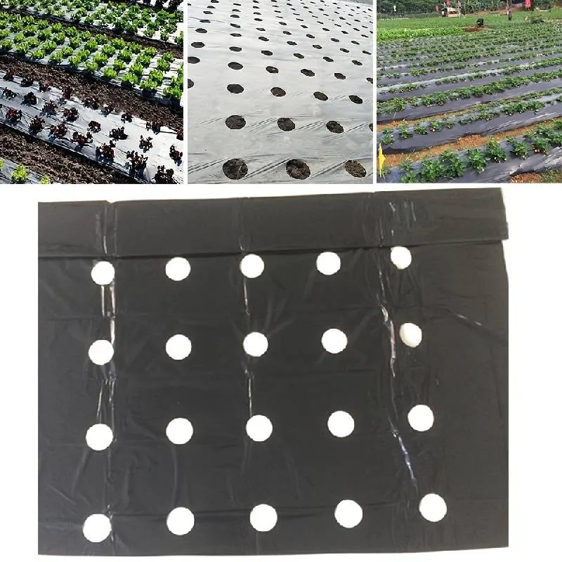 Tissu de Barrière de Paysage Perforé Robuste