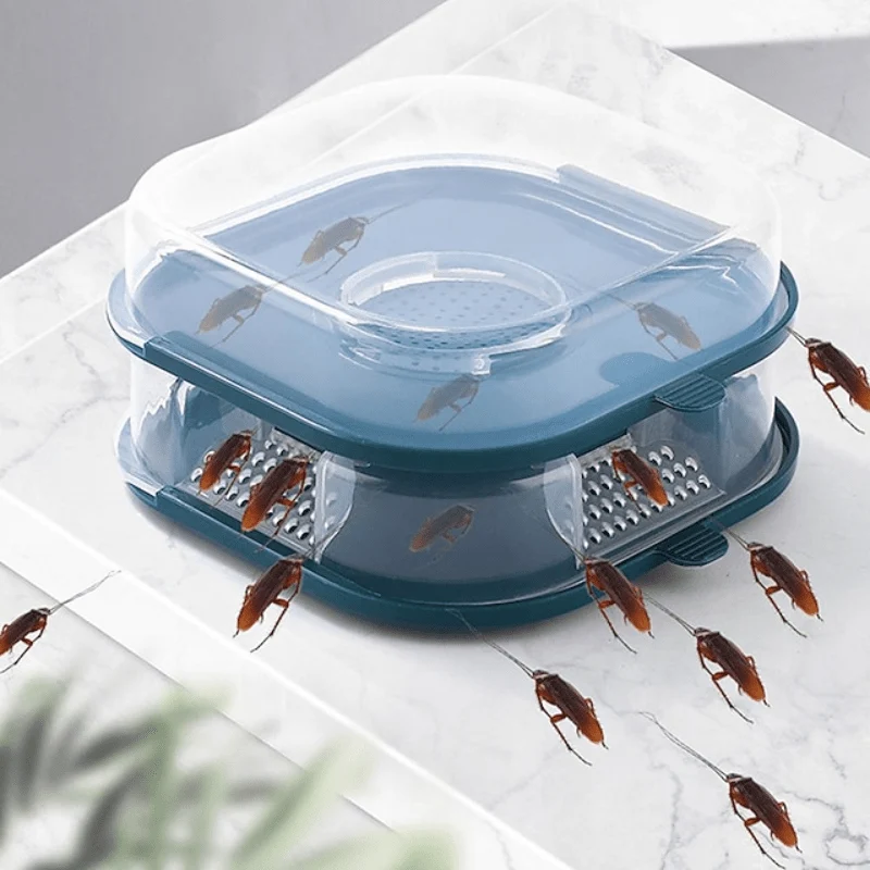 Piège à Cafards Réutilisable Efficace (+ Poudre Offerte)