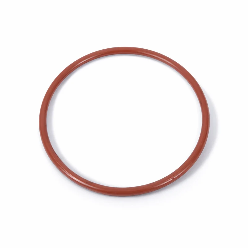 CL1 Joint Torique de Chlorinateur
