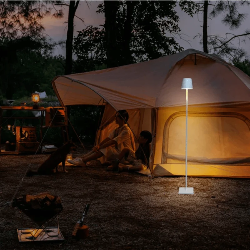 Lampadaire Moderne Rechargeable