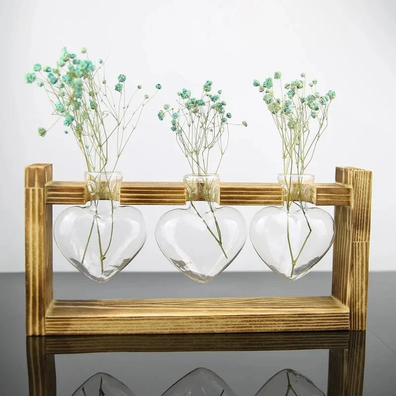 Vase Hydroponique en Verre en Forme de Cœur