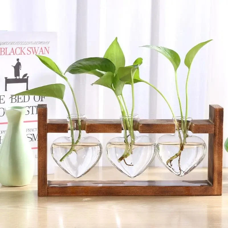 Vase Hydroponique en Verre en Forme de Cœur