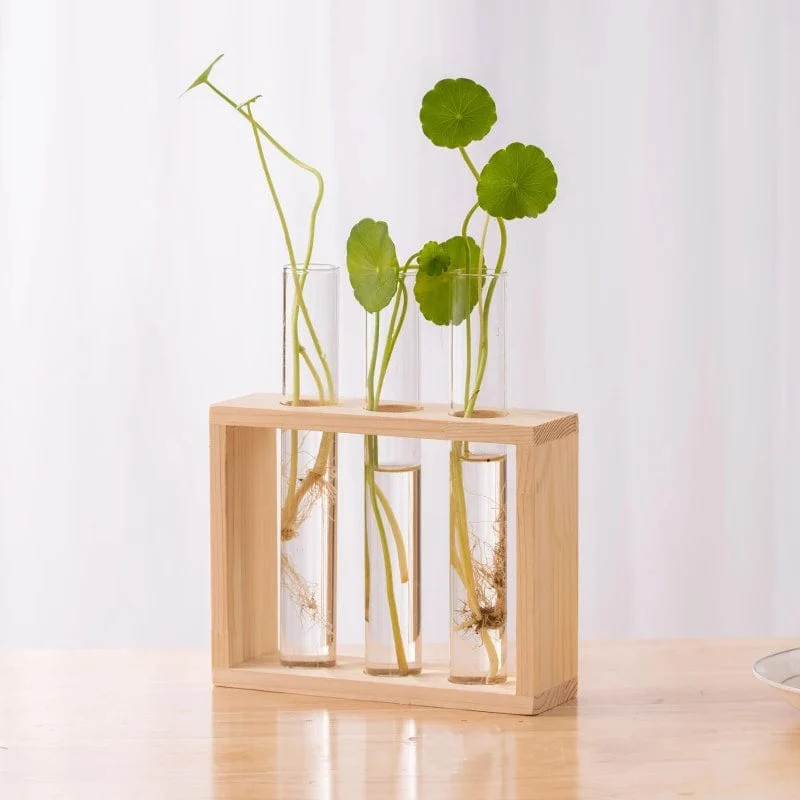 Vase à Tube Hydroponiques Esthétique