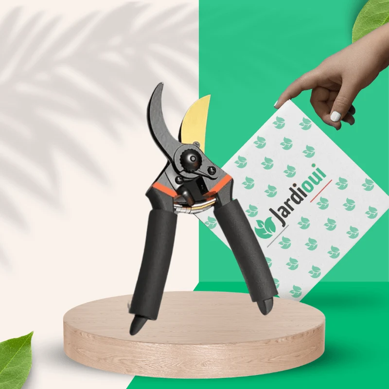 Ciseaux d'Élagage Ultra Performants