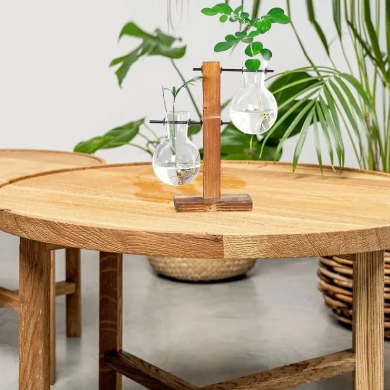 Vase à Ampoules Hydroponique Élégant