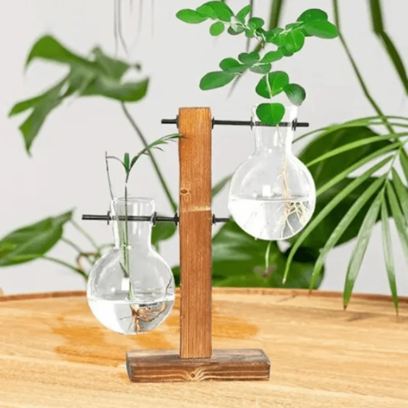 Vase à Ampoules Hydroponique Élégant