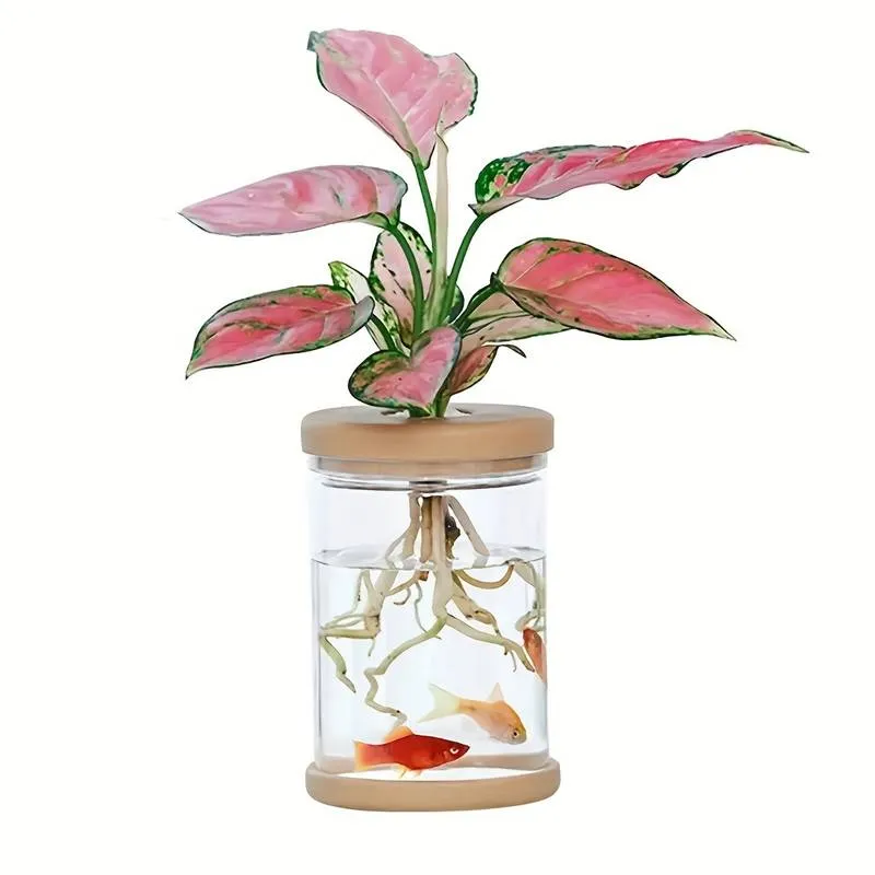 Mini Pot Hydroponique Transparent Innovant
