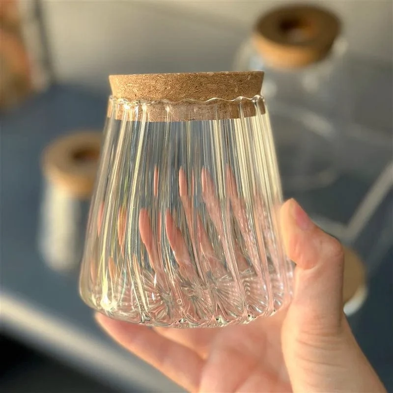 Vase Volcanique Hydroponique Artistique