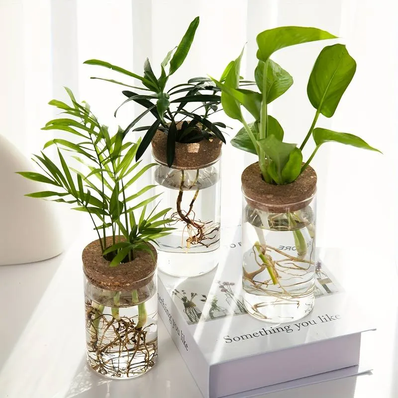 Pot de fleur hydroponique innovant