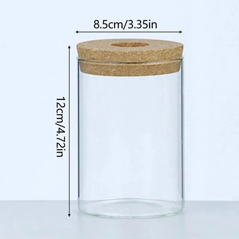 Pot de fleur hydroponique innovant