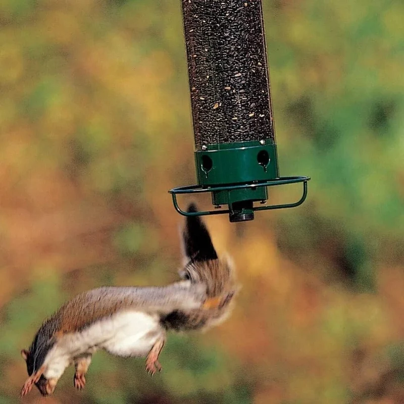 Mangeoire Anti-Écureuil Ultime pour Oiseaux