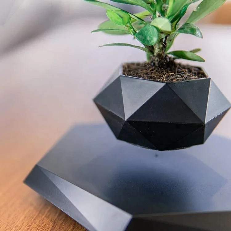 Vase Flottant Magique Original et Innovant