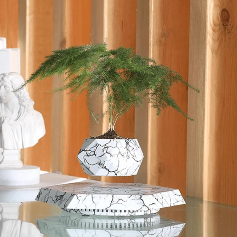 Vase Flottant Magique Original et Innovant