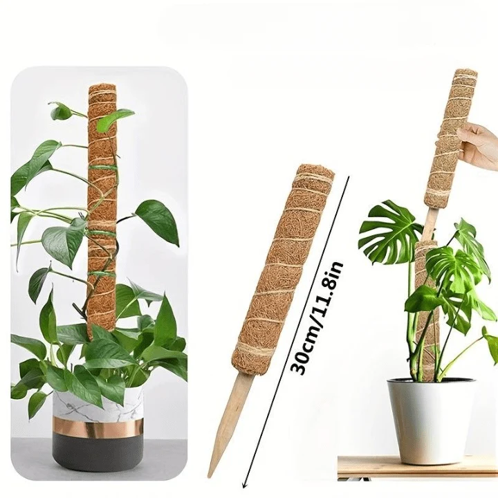 Tuteur pour Plante Grimpante Robuste (+50m de Ficelle Offert)