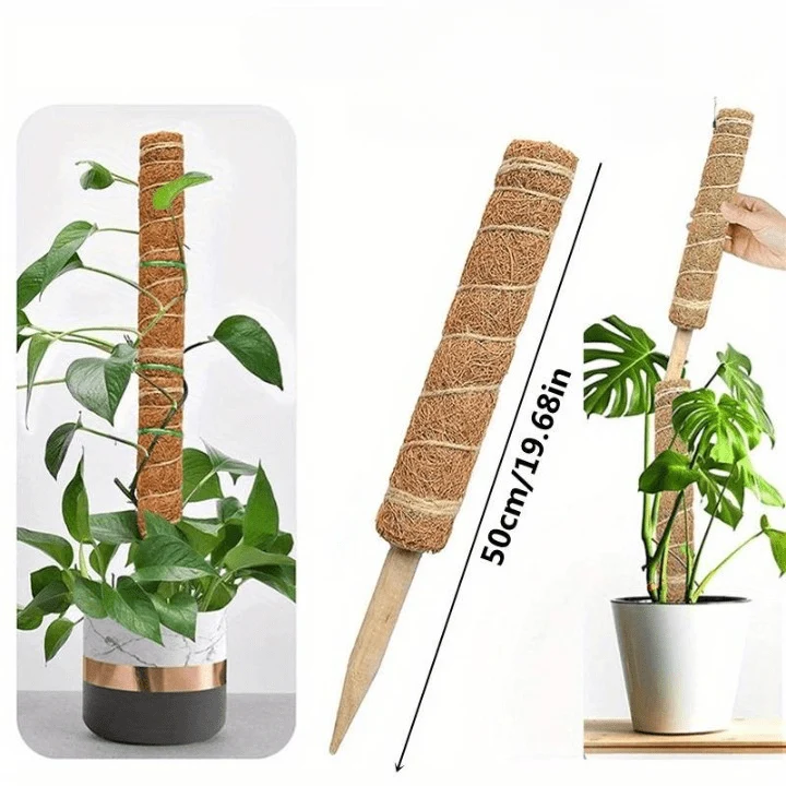 Tuteur pour Plante Grimpante Robuste (+50m de Ficelle Offert)