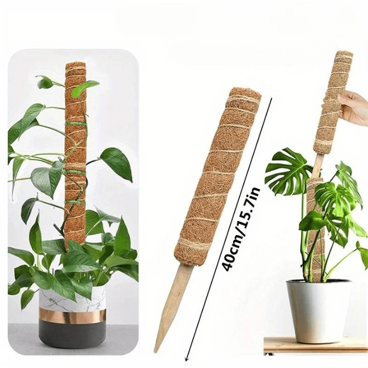Tuteur pour Plante Grimpante Robuste (+50m de Ficelle Offert)