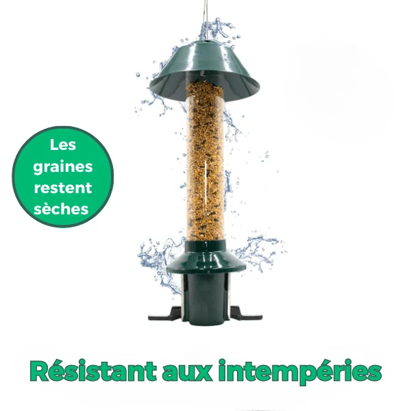 Distributeur de Nourriture Ultime pour Oiseaux