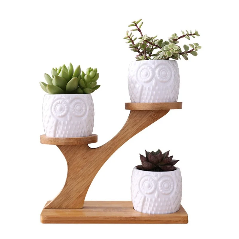 Porte Plante d'intérieur Design en Bambou