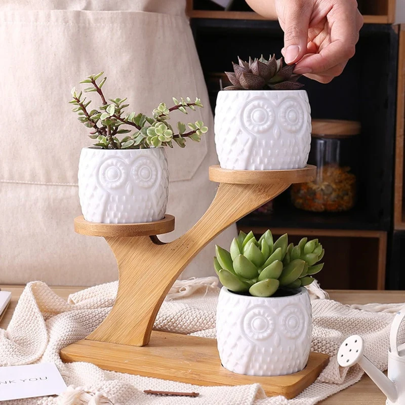 Porte Plante d'intérieur Design en Bambou