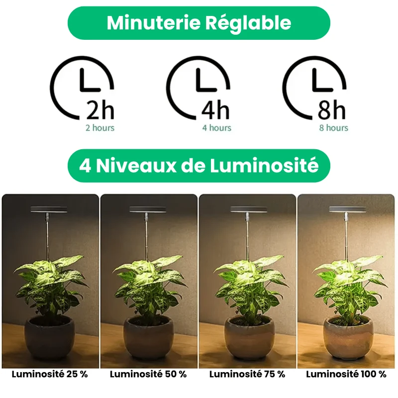 Lampe de Croissance LED d'Intérieur (Lot de 2+1 Offerte)