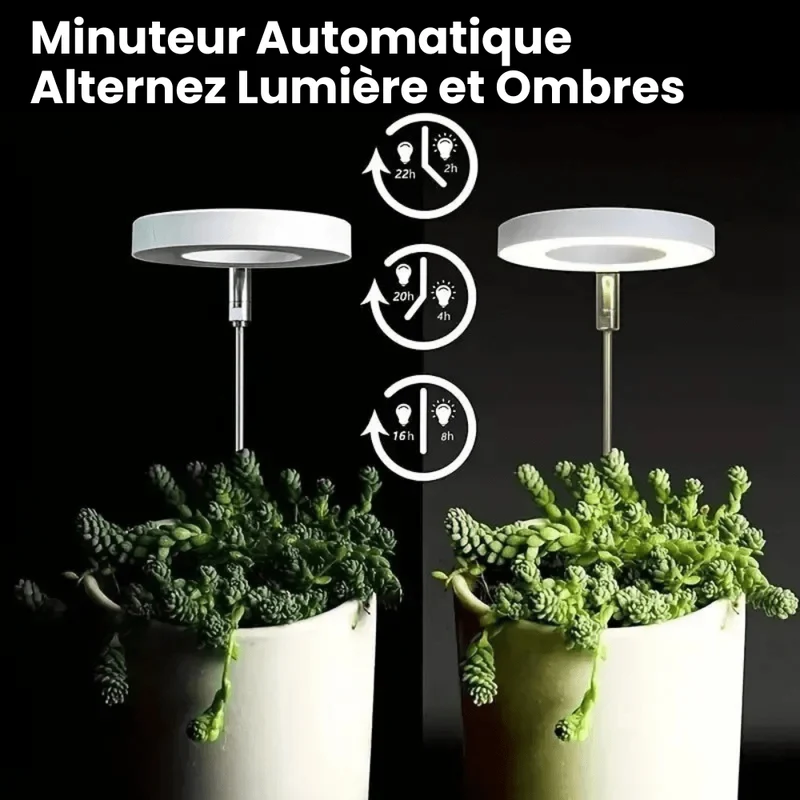 Lampe de Croissance LED d'Intérieur (Lot de 2+1 Offerte)