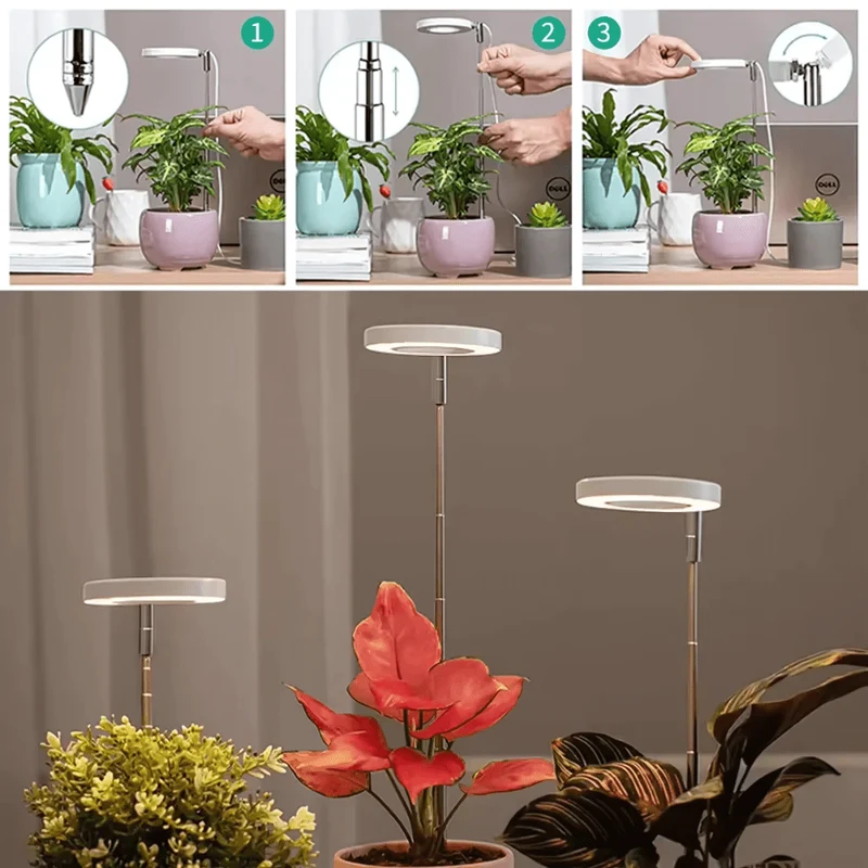 Lampe de Croissance LED d'Intérieur (Lot de 2+1 Offerte)
