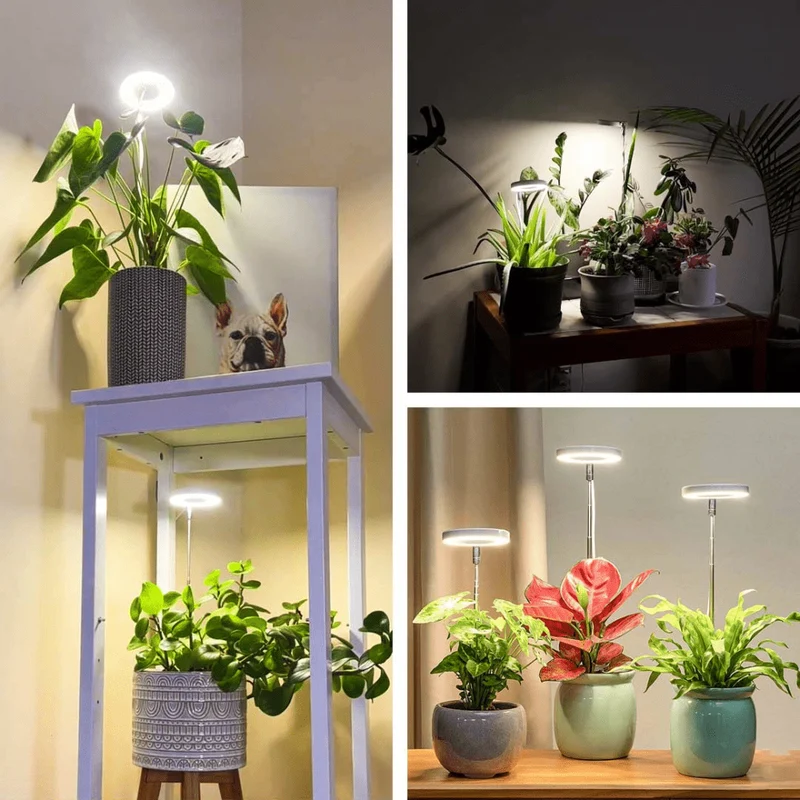 Lampe de Croissance LED d'Intérieur (Lot de 2+1 Offerte)