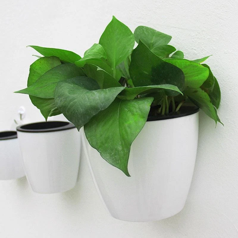 Pot de Fleur Mural Blanc