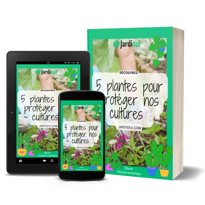 5 plantes pour protéger nos cultures - Ebook