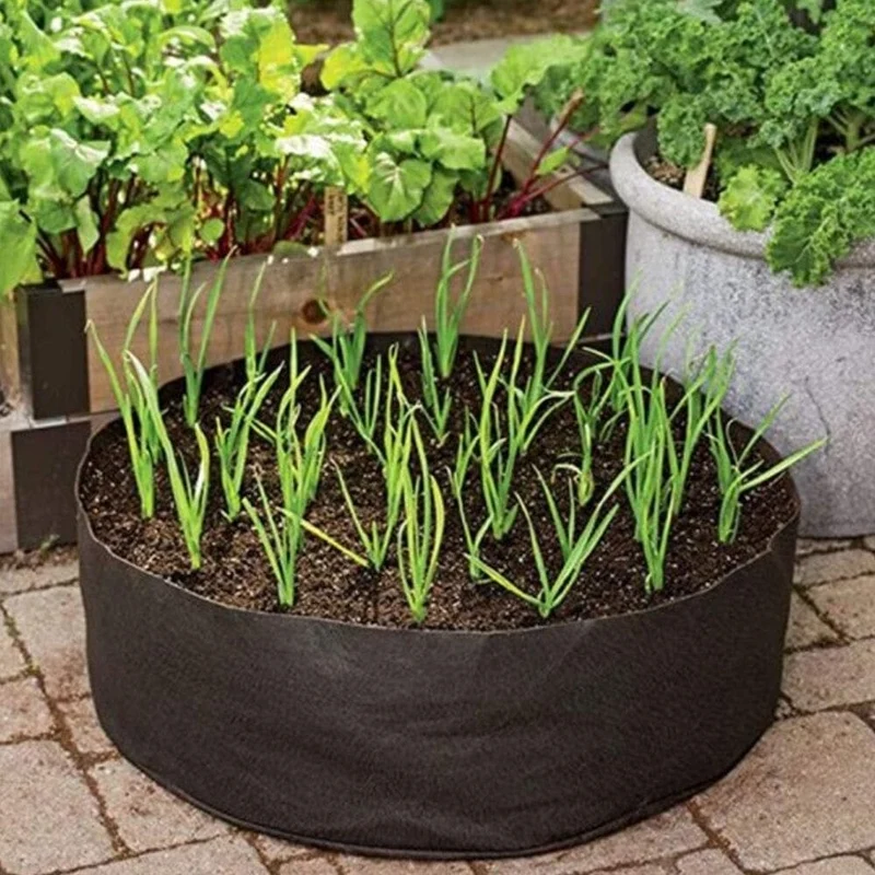 Sac de culture pour plantes domestiques