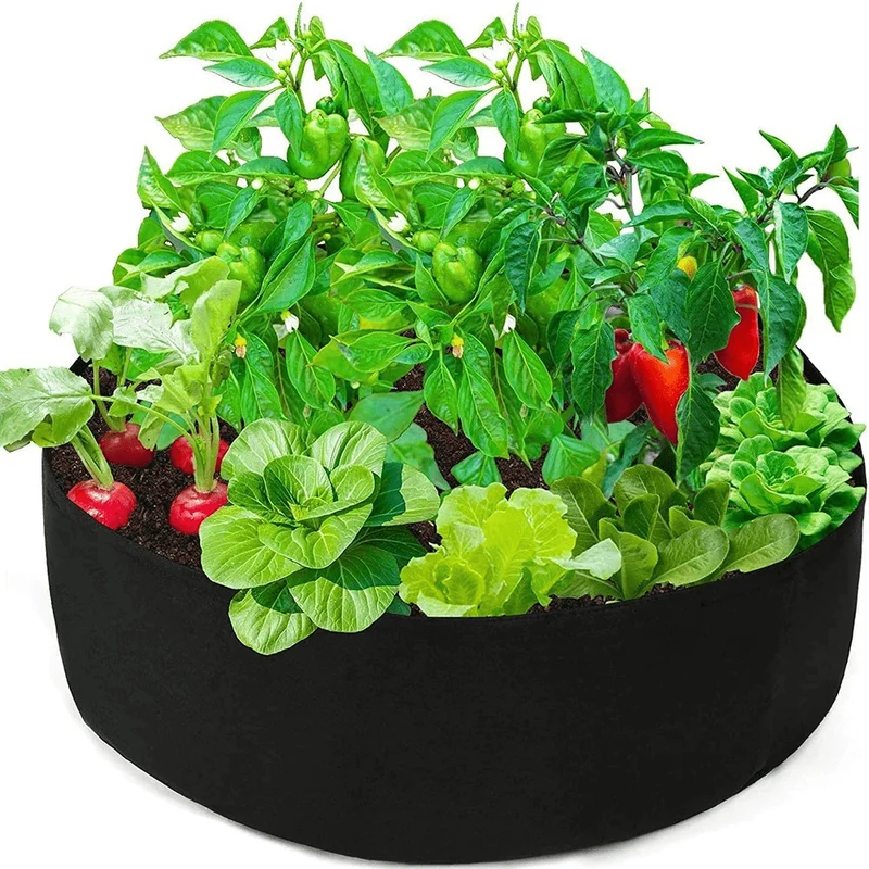 Sac de culture pour plantes domestiques