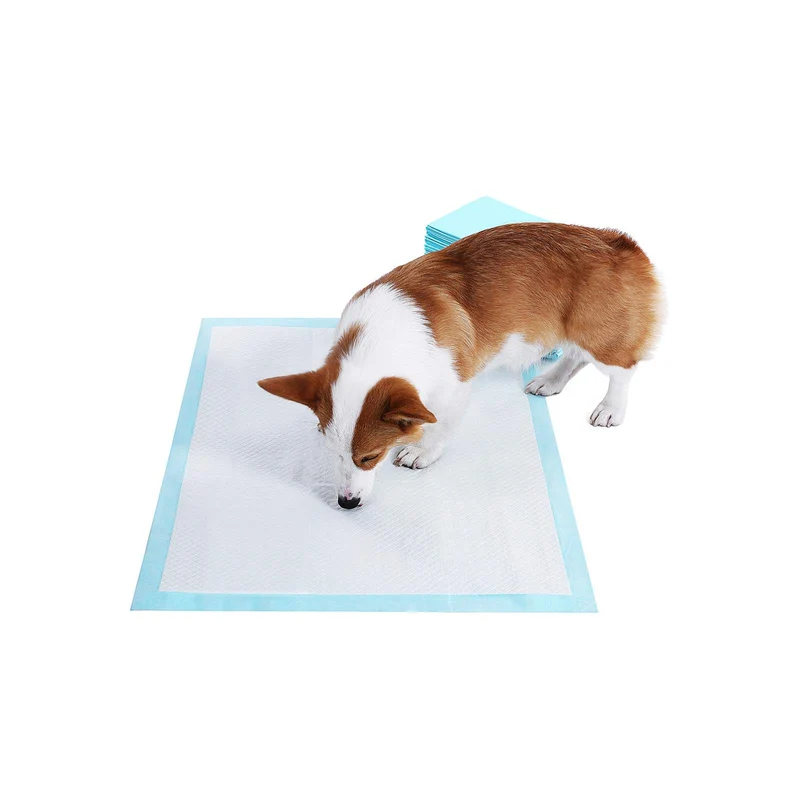 Lot de 100 tapis éducateurs super absorbants anti-fuite 60 x 60 cm pour chiots en polythène bleu 12_0008967