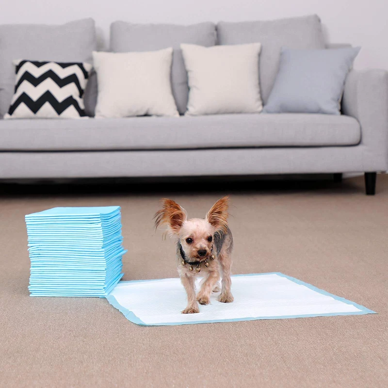 Lot de 100 tapis éducateurs super absorbants anti-fuite 60 x 60 cm pour chiots en polythène bleu 12_0008967