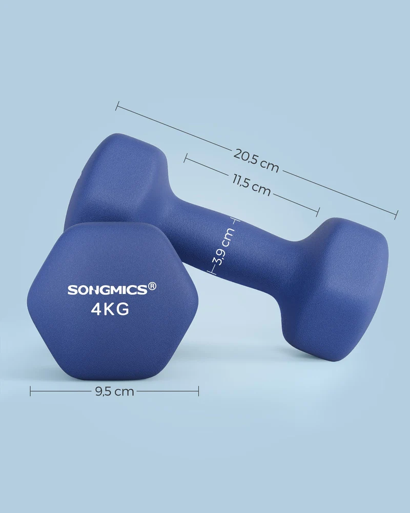 Lot de 2 haltères hexagonaux pour entraînement fitness 20,5 x 9,5 cm en fer bleu 12_0011027