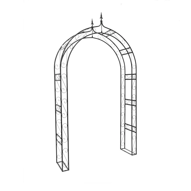 Arche à rosiers décorative pour plantes grimpantes 200 x 100 x 50 cm en fer époxy noir 13_0003265