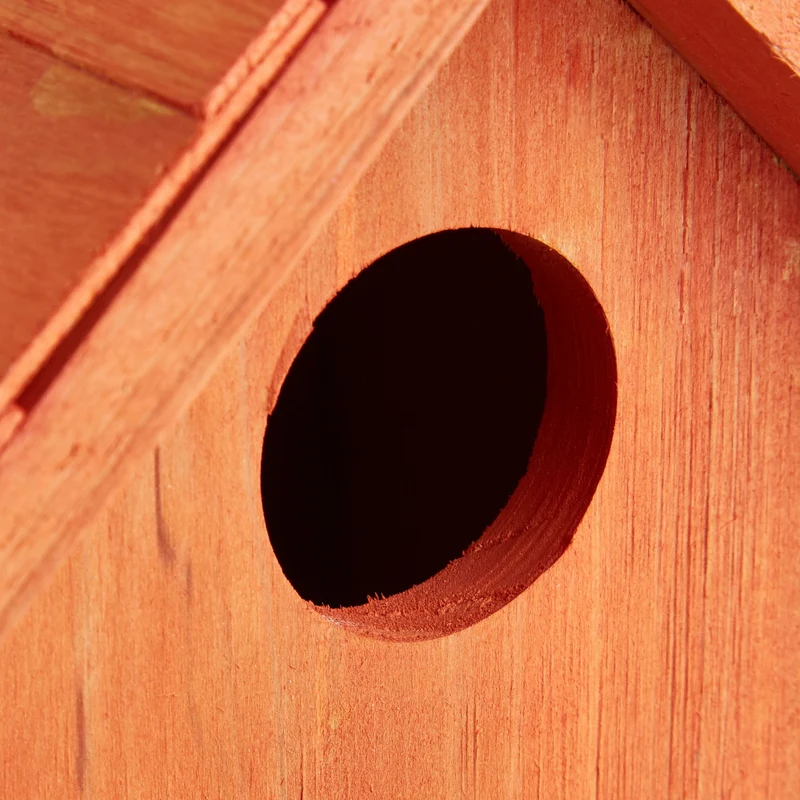 Nichoir à oiseaux en bois abri pour oiseaux chanteurs 24,5 x 17 x 12 cm style nostalgique en bois marron 13_0005910
