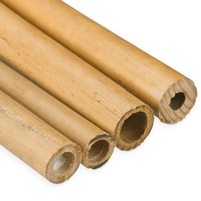 Lot de 25 tiges en bambou naturel pour jardin 150 x 10 cm stabilisation plantes décoration asiatique en bambou naturel 13_0006321