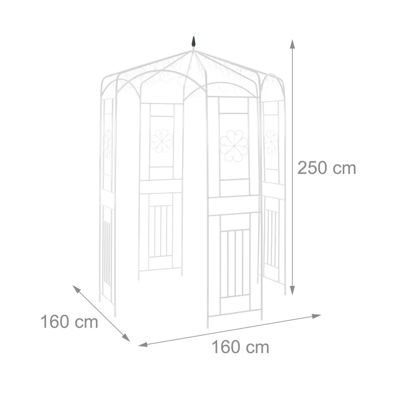 Arche à rosiers décorative jardin 250 x 160 x 160 cm pour plantes grimpantes en métal noir 13_0005553