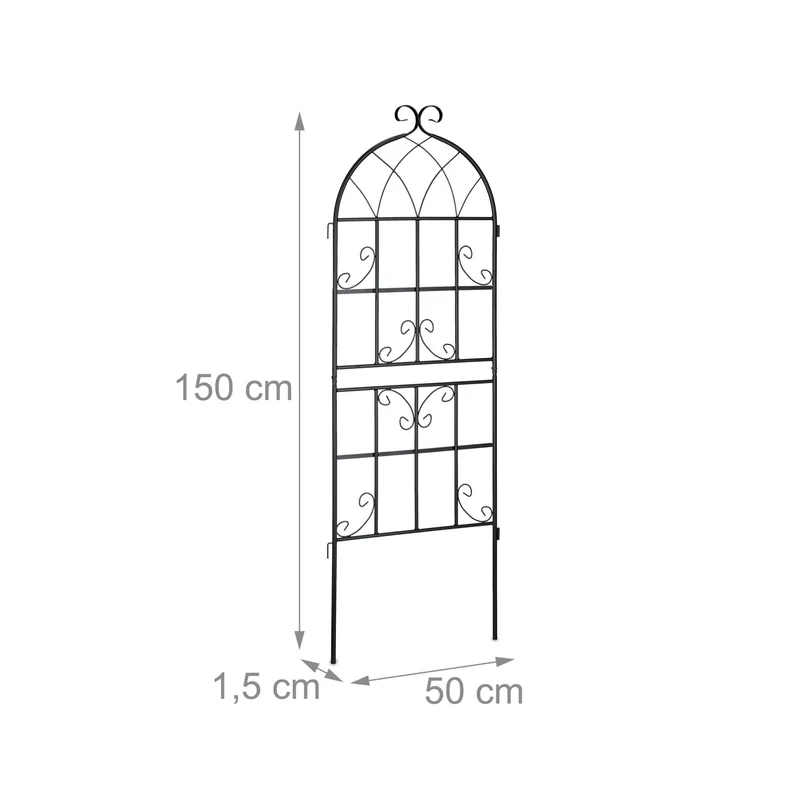 Lot de 2 treillis de jardin décoratif noir en métal 150 x 50 x 1,5 cm avec support pour plantes grimpantes 13_0008798