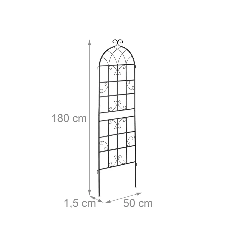 Lot de 2 treillis de jardin décoratif noir en métal 150 x 50 x 1,5 cm avec support pour plantes grimpantes 13_0008799