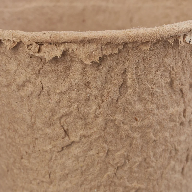 Lot de 80 pots de jardinage pour semis 5,5 x 6 cm pratique éco-responsable en cellulose beige 13_0008287