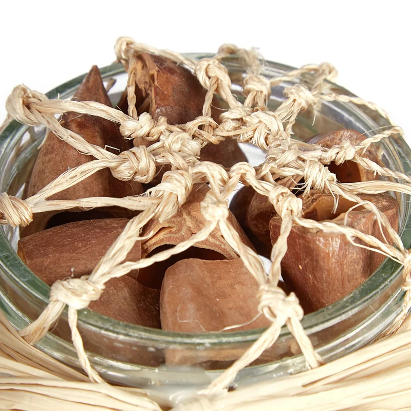 Lot de 3 décorations maritimes avec coquillages naturels pour table salle de bain ambiance plage en verre beige 13_0008035