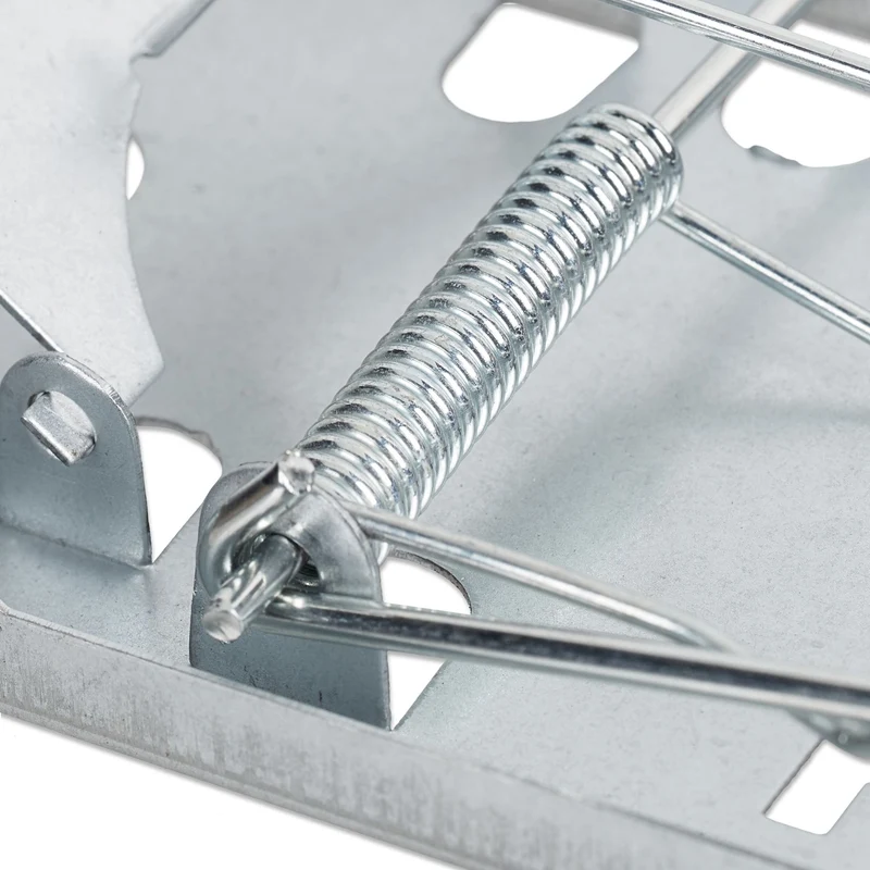Lot de 4 tapettes à souris réutilisables piège efficace pour intérieur extérieur 16 x 8,5 x 5 cm en fer galvanisé argenté 13_0007903