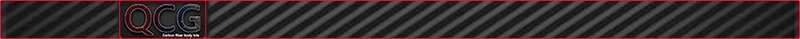 Becquet Carbone Porsche Taycan Tail Fins 2019-2024