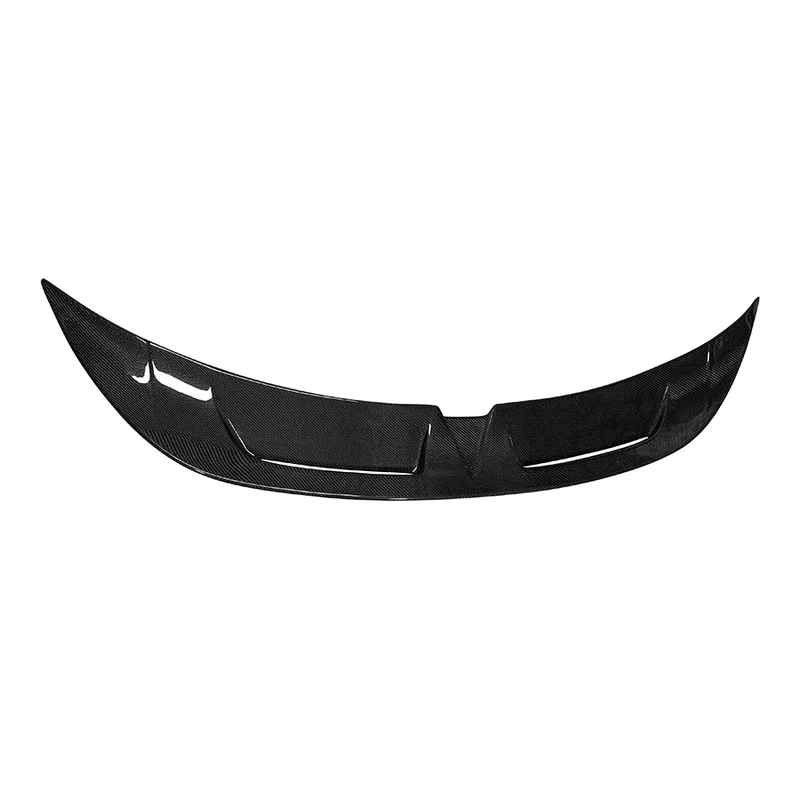 Becquet Carbone Porsche Taycan Tail Fins 2019-2024