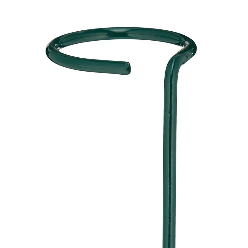 Lot de 6 tuteurs pour plantes utilisation immédiate 80 x 6 cm en acier vert foncé 13_0010784