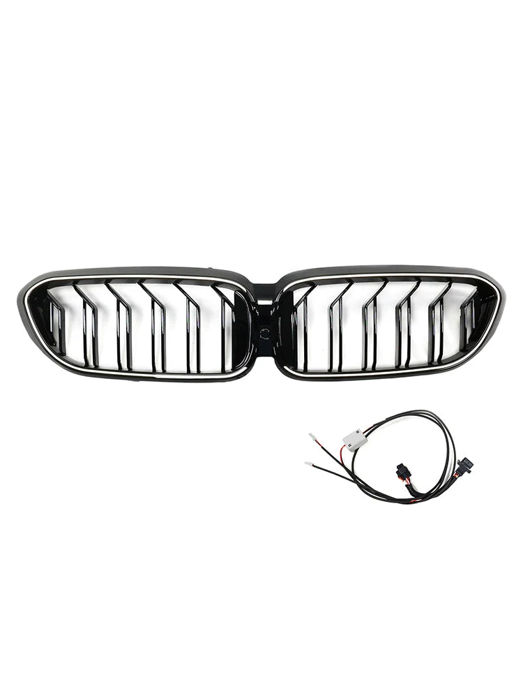 Calandre BMW Série 5 G30 G31 2017-2020 Noir Brillant