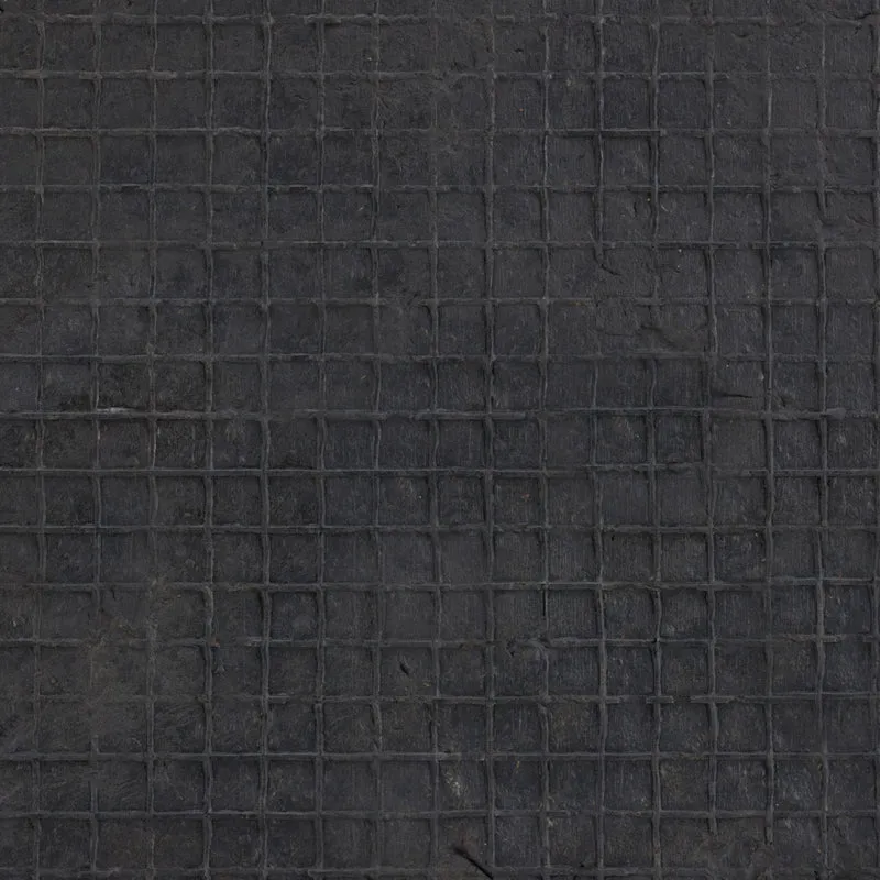 Paillasson mignon en fibres de coco 40 x 60 cm robuste et durable pour intérieur extérieur en coco naturel 13_0011149