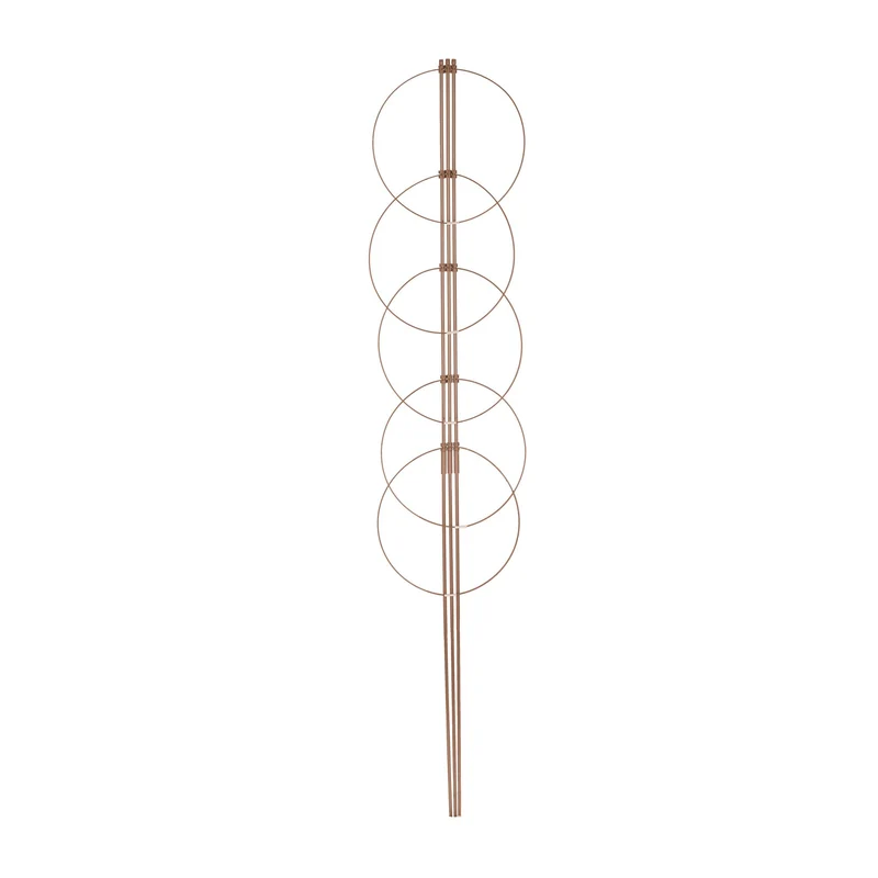 Lot de 2 tuteurs à tomates en métal ajustables jardin balcon 180 x 30 cm en métal marron 13_0012882