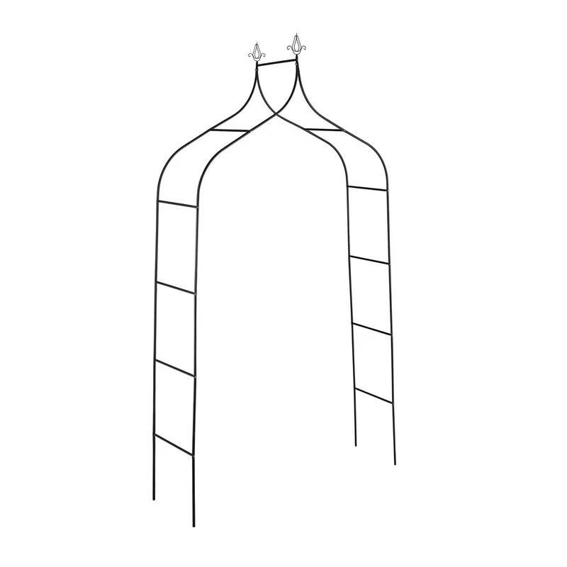 Portail à rosier pour plantes grimpantes jardin 200 x 100 x 15 cm en métal noir 13_0011834
